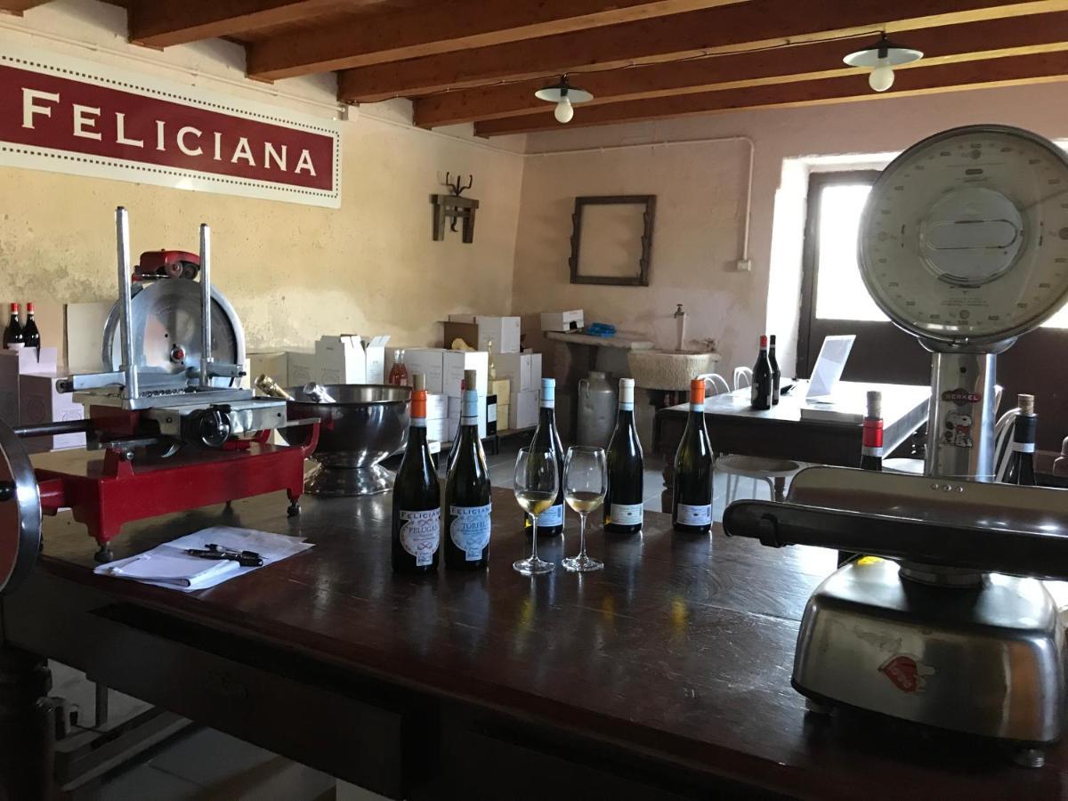 Agriturismo Feliciana ポッツォレンゴ エクステリア 写真