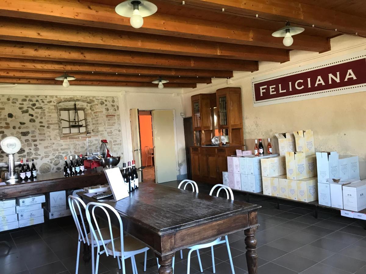 Agriturismo Feliciana ポッツォレンゴ エクステリア 写真