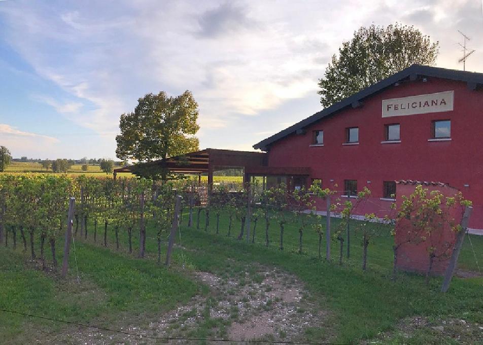 Agriturismo Feliciana ポッツォレンゴ エクステリア 写真