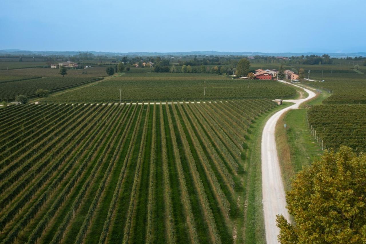 Agriturismo Feliciana ポッツォレンゴ エクステリア 写真